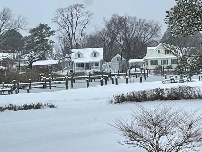 Elaine Dickinson Neavitt.jpg