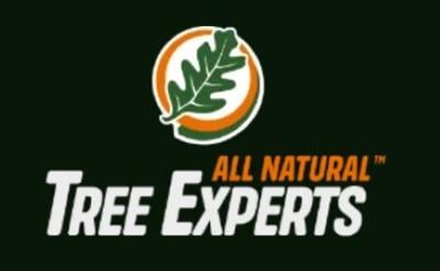 All Natural Tree Experts Launches New Website Highlighting Safe, Reliable, and ISA-Certified Tree Care Services