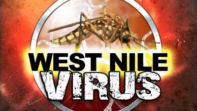 West Nile Virus