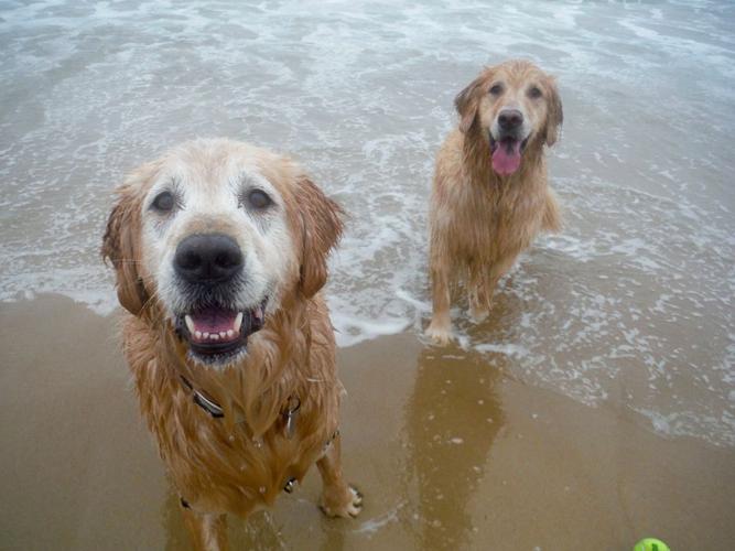 14441001_648593508647700_8574010574261107927_n