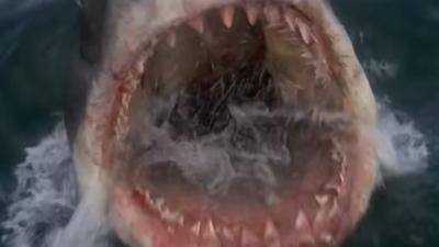 Jaws