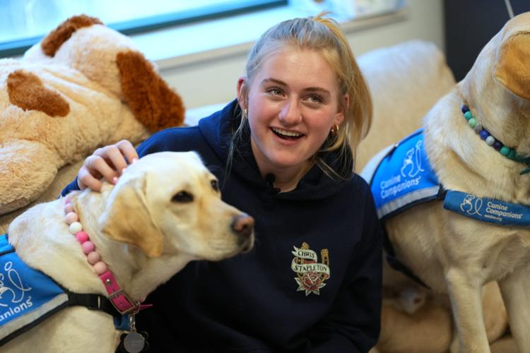 Trauma Dogs School Shooting