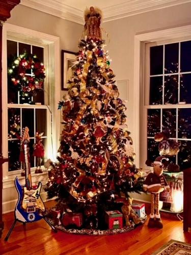 Carol Bolmen's tree in Seaford, Del.