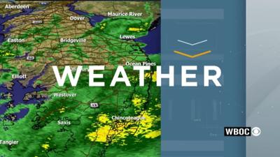 Forecast January 24th, 2026