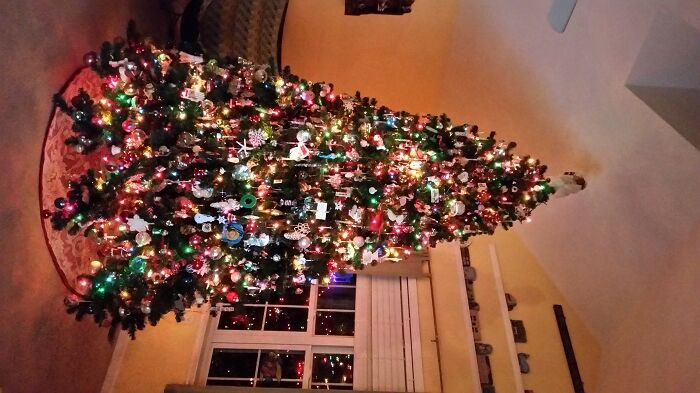 Betty & Shank McCorkle LEWES