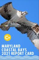 Maryland's Coastal Bays Receive C+ on 2021 Report Card