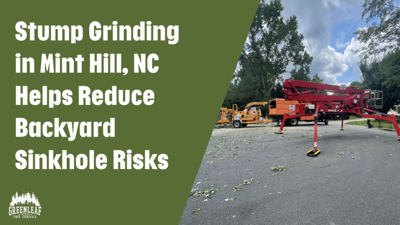 Stump Grinding in Mint Hill, NC Helps Reduce Backyard Sinkhole Risks