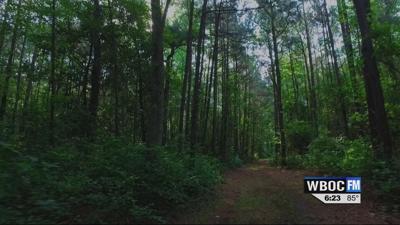 Travels With Charlie And There in the Forest, A Battle Raged