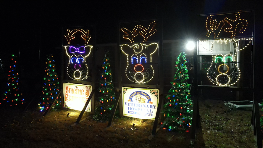 Holiday Reindeer Display in Seaford