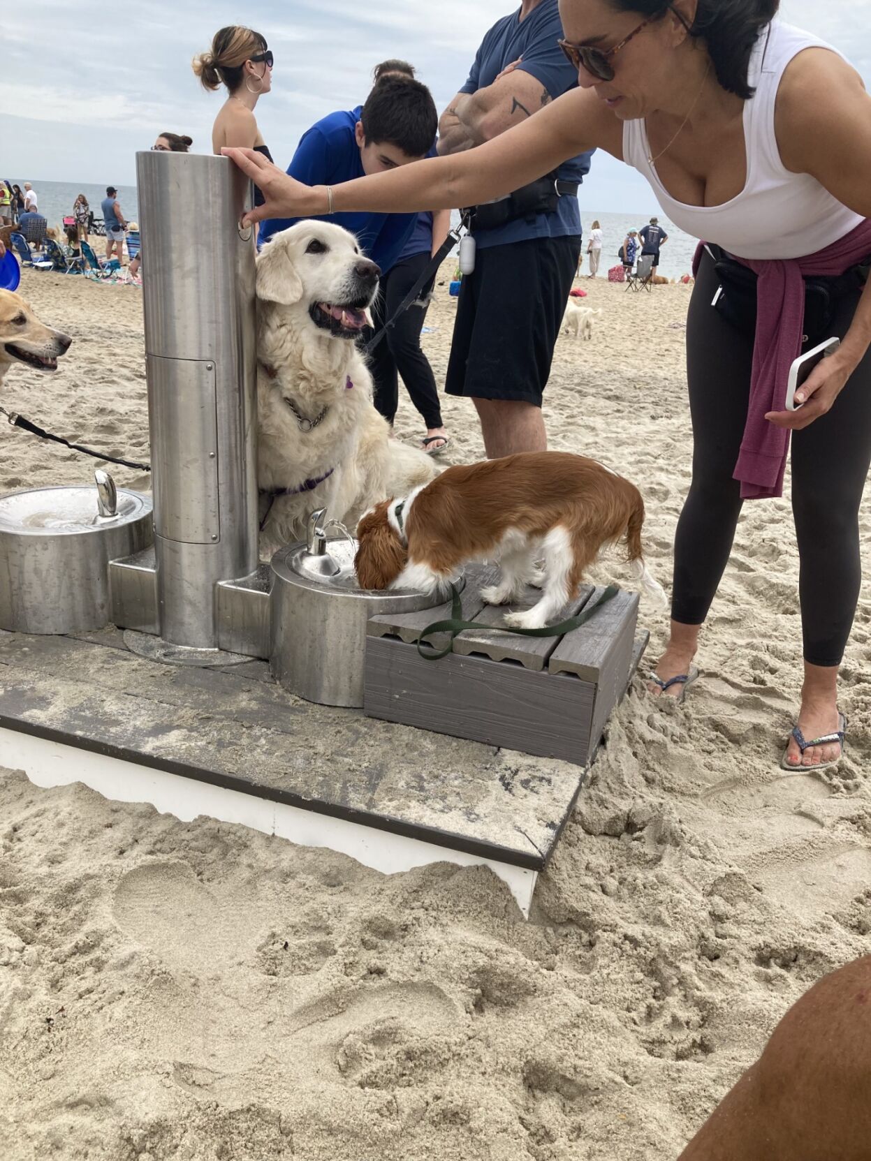 Dewey Beach dog fountain