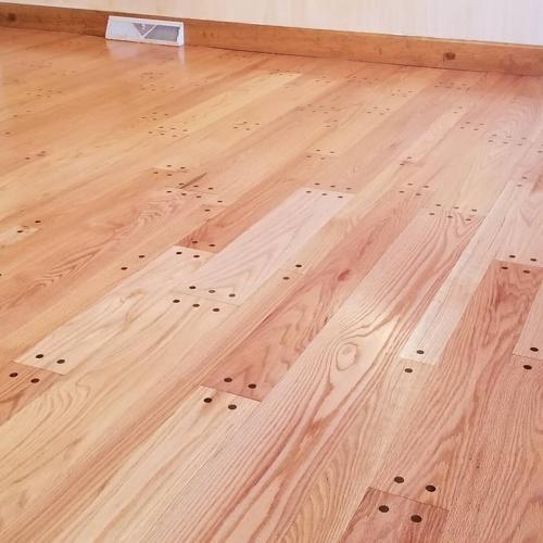 122263204_2011564978980696_2112639726230365265_o