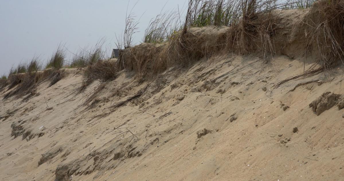 Broadkill Beach Dune Proposal Draws Mixed Reaction from Neighbors