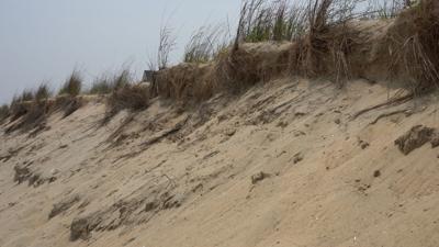 Broadkill Beach Dune
