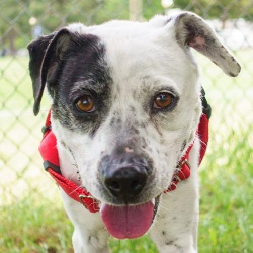 claire-1-600×600 (1)