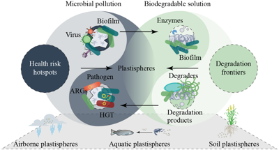 Plastisphere paradox: How microplastic garbage patches could hold the key to their own cleanup