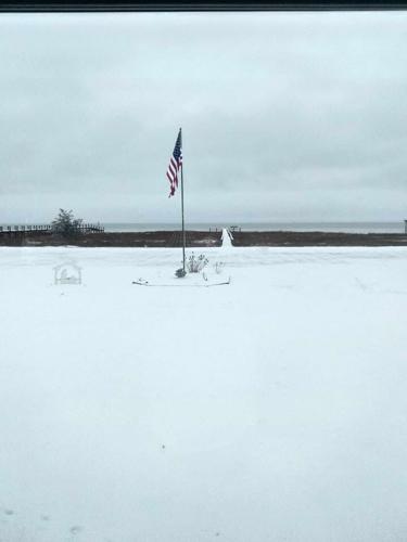 Gina Bowden Williams Chincoteague.jpg