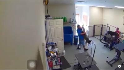 Bridgeville Pet Groomer Charged With Animal Cruelty for Allegedly Abusing Dog