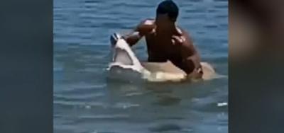 Swimmer Caught on Video Grabbing Shark at Del. Beach