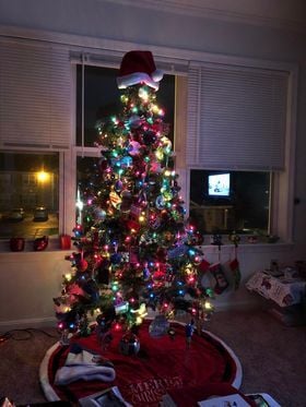 Priscilla Workman, MILTON