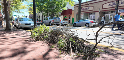 Cars driving along Loockerman Street with tree branches and leaves pushed to the sidewalks.