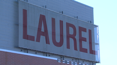 Laurel