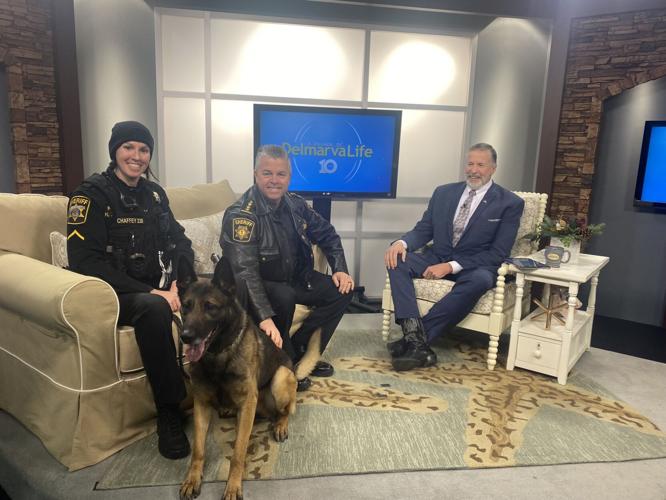 K9 Rizzo