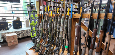 gun safety laws