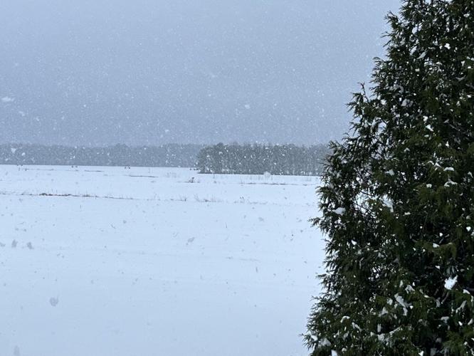 Mallory Norman Eden.jpeg