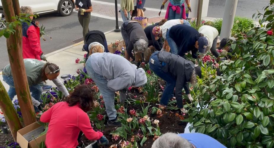 LEWES IN BLOOM 3.JPG