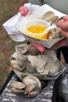 littleneckclams