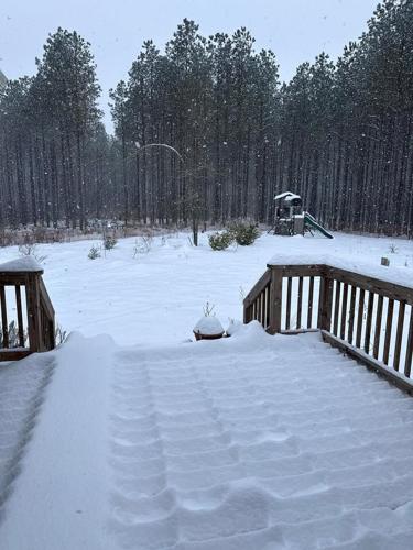 Megan Wren Dagsboro.jpg