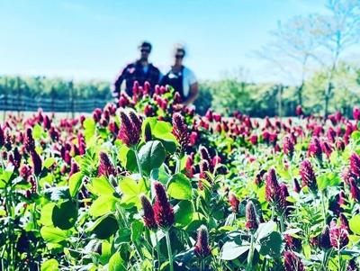 95502043_2607676942843525_7735071289315950592_n