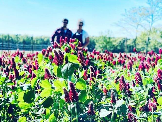 95502043_2607676942843525_7735071289315950592_n