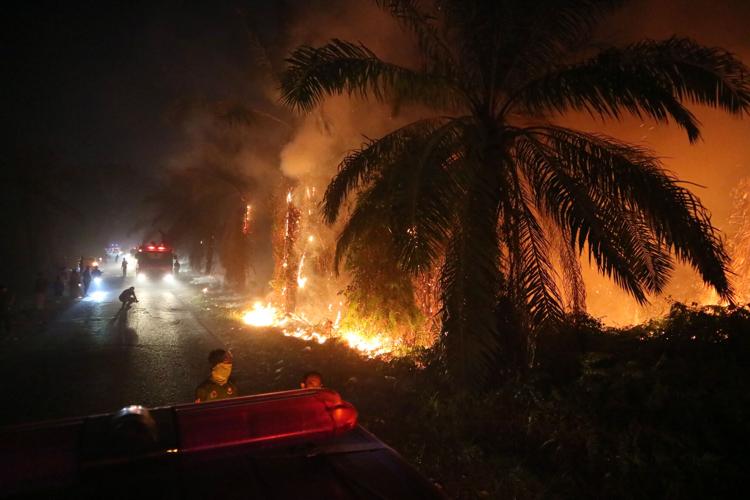 Indonesia Wildfires