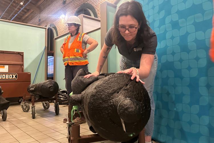 Cannons Found-American Revolution