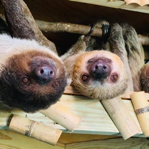 83109533_2955016897862793_2649809270454878208_n