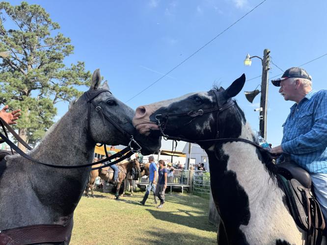 Photo Jul 30 2025, 9 44 03 AM.jpg