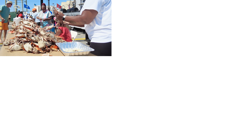 Hard Crab Derby Returns to Crisfield - Vimarsana News
