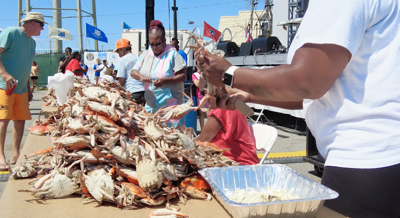 Crab Picking