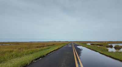 Flooding in Crapo, Maryland. (WBOC).