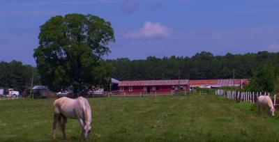 Honoring Delmarva Farmers   Johnson Farm   YouTube