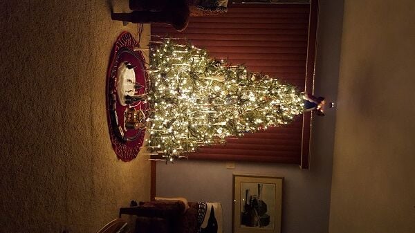 Tom and Susan Livelsberger, Lincoln, Delaware