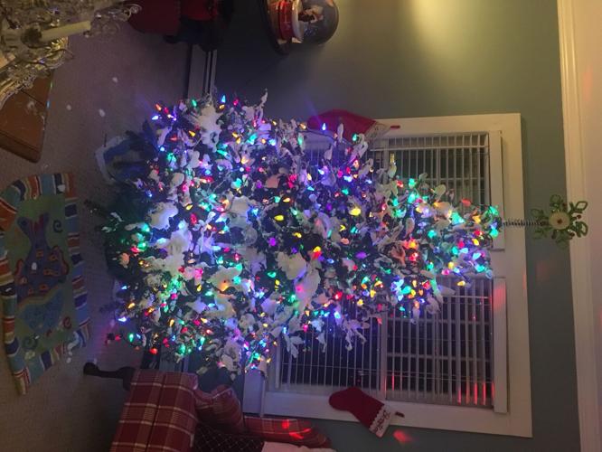 Cynthia-Bunting-Harper-Roxana-DE