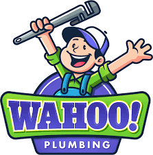 Why Liquid Cleaners Risk Your Pipes