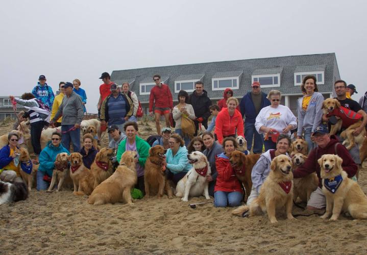 14500312_649290085244709_5221237797907329390_o