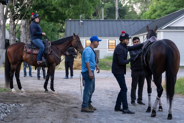 Belmont Stakes Horse Racing