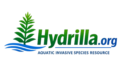 Invasive Hydrilla vs Native Elodea: New Identification Guide Released