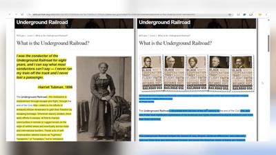 Website Differences