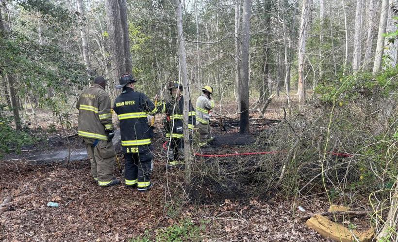 Millsboro Woods Fire