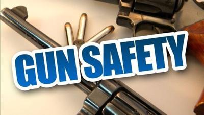 Updated: Maryland Democrats Unveil 2 Bills on Gun Laws
